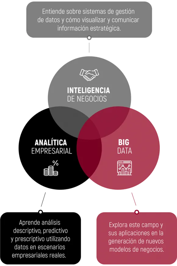 Habilidades de la maestria online en intelligencia de negocios